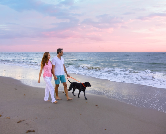 couple walking their dog on the beach at Sailfish Point