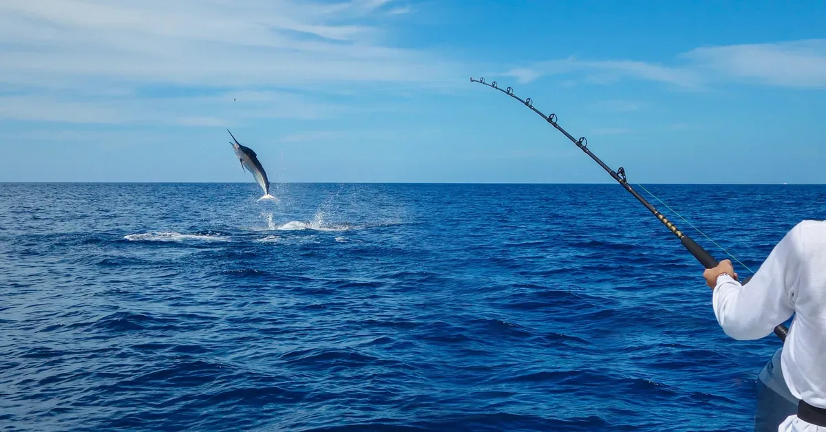 Sailfish Point Stuart Sports Fishing